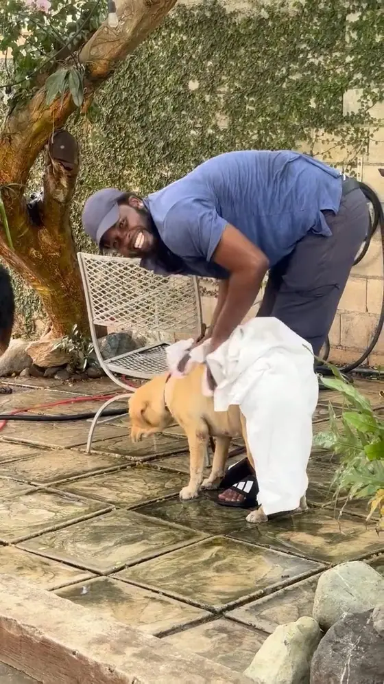 Lola, a light-coloured dog, getting towelled off after her bath in a paved yard